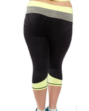 Two Tone Sculpt Tights | Plus Size Activewear
